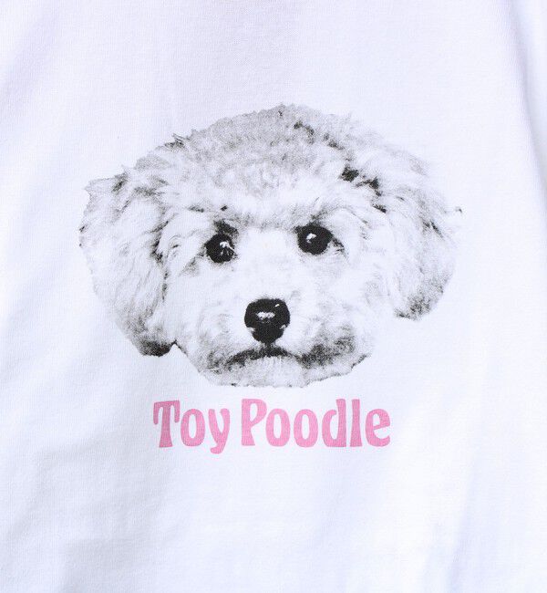GLOSTER「【シリーズ累計人気】DOG＆CAT プリントTシャツ」|Tシャツ・カットソー|