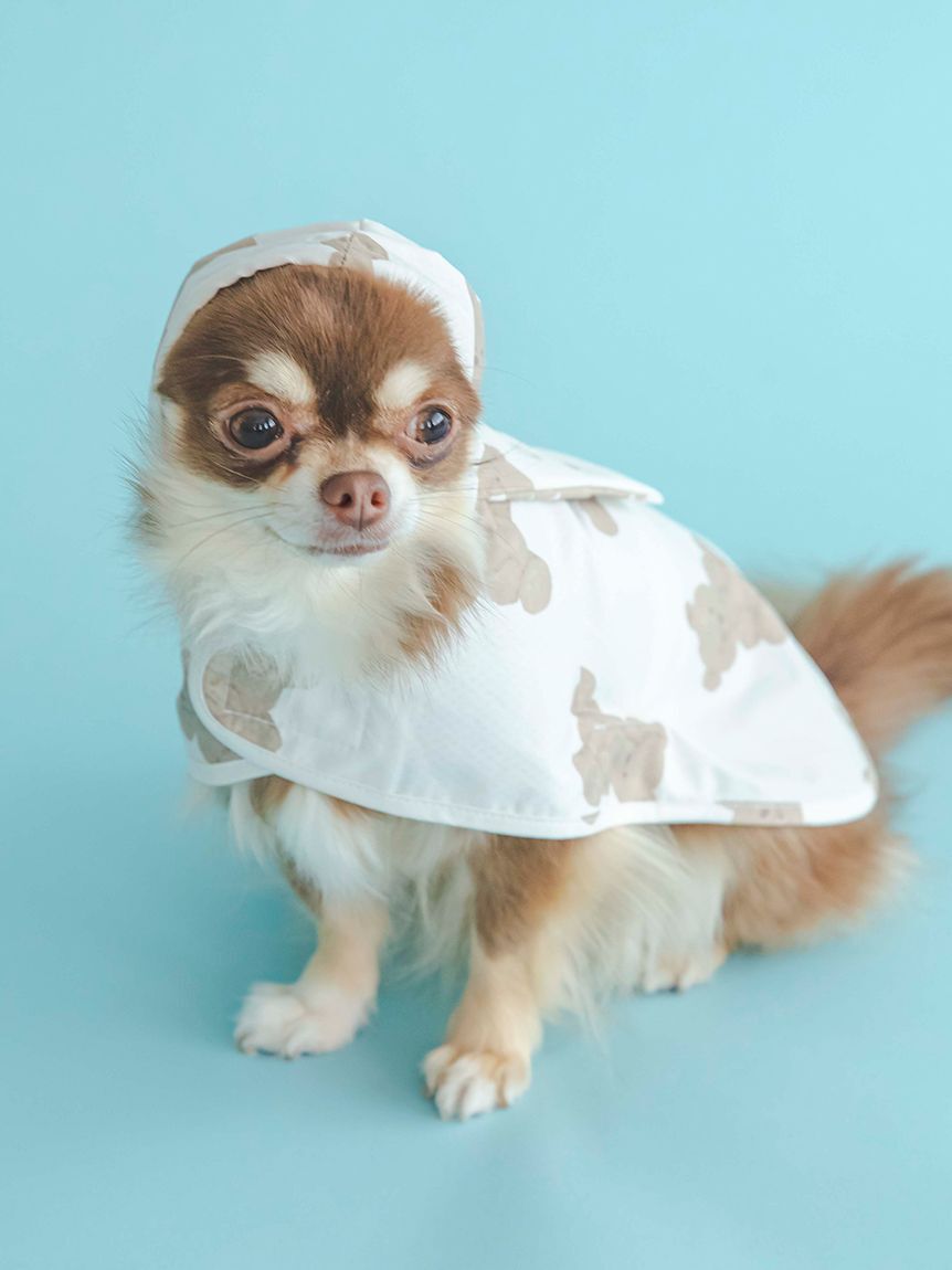  GELATO PIQUE CAT&DOG「【CAT&DOG】【販路限定商品】レインポンチョ」|その他|