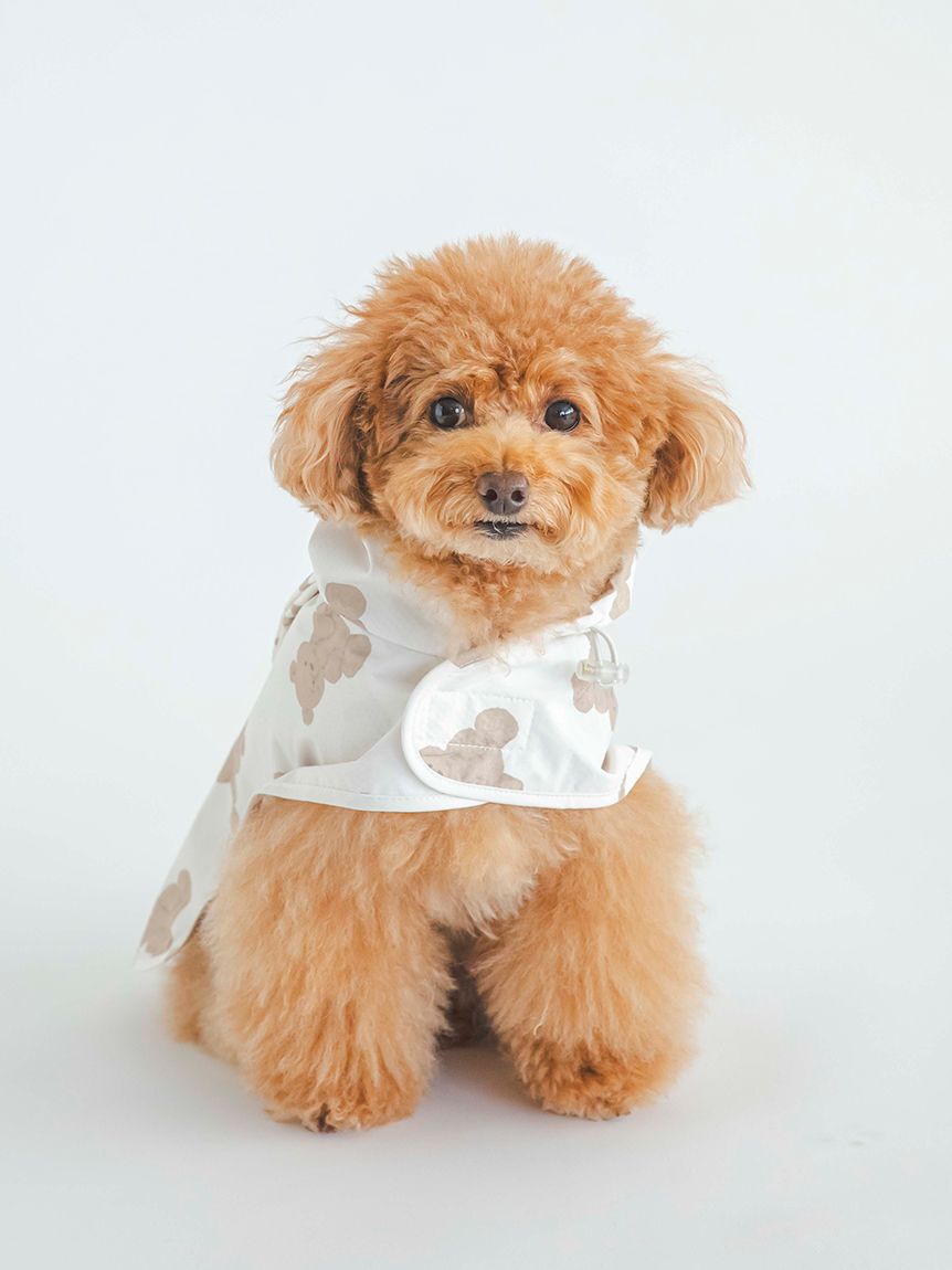  GELATO PIQUE CAT&DOG「【CAT&DOG】【販路限定商品】レインポンチョ」|その他|