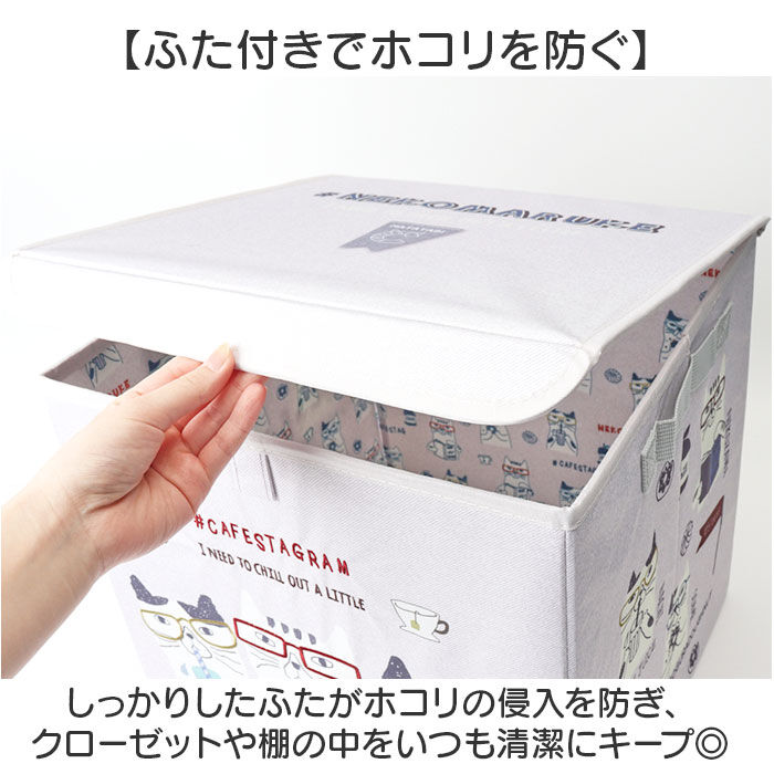 BACKYARD FAMILY「収納ボックス 折りたたみ 蓋付き 通販 収納ケース 収納 ボックス ストレージボックス 布 小物」|その他|