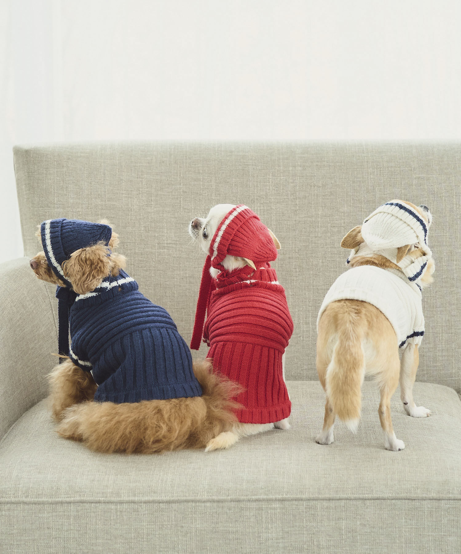ROPE PICNIC PASSAGE「【DOG】リブ切り替えニットワッチ」|その他|