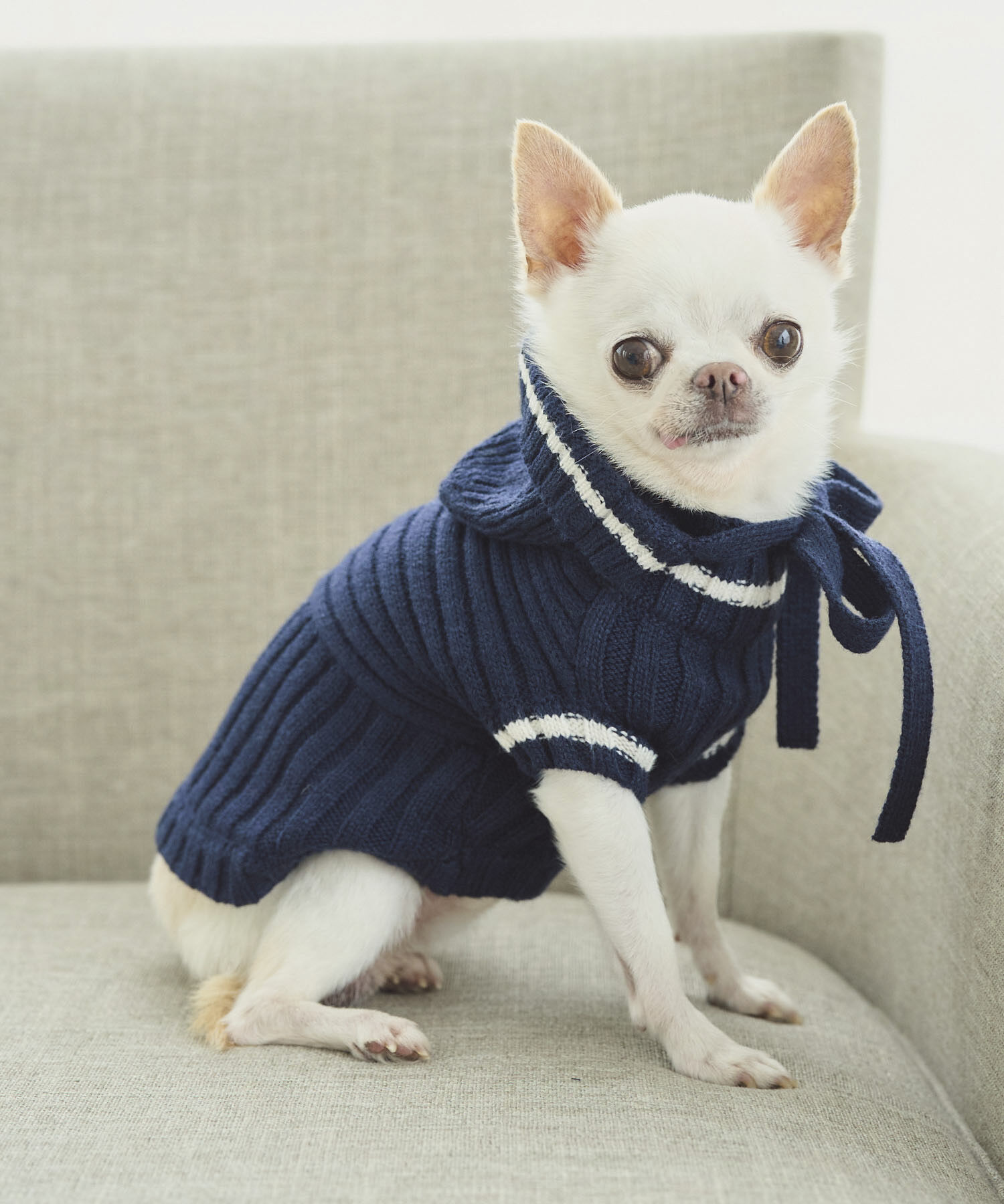 ROPE PICNIC PASSAGE「【DOG】リブ切り替えニットワッチ」|その他|