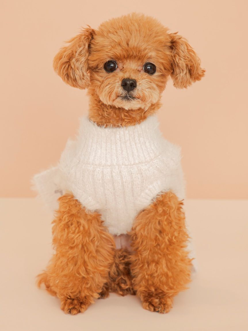  GELATO PIQUE CAT&DOG「【CAT&DOG】リボンプルオーバー」|その他|