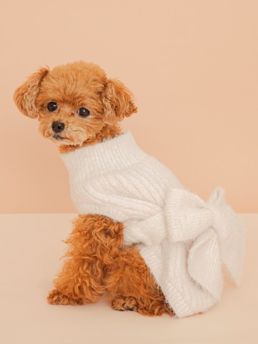  GELATO PIQUE CAT&DOG「【CAT&DOG】リボンプルオーバー」|その他|