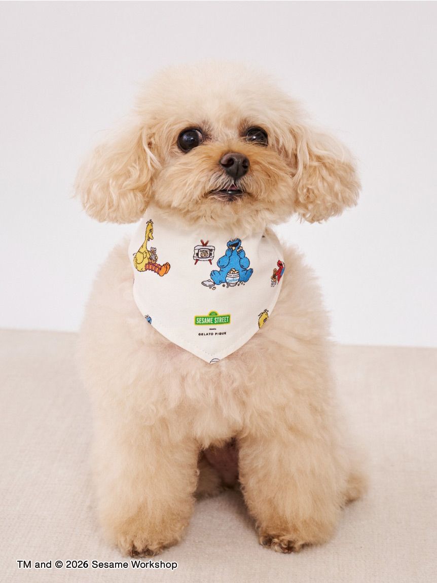  GELATO PIQUE CAT&DOG「【SESAME STREET】【CAT＆DOG】バンダナ」|その他|