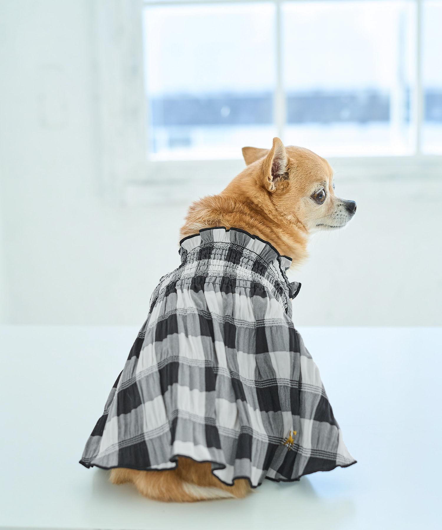 ROPE PICNIC PASSAGE「【DOG】ギンガムチェック柄ワンピース」|その他|ブラック(01)