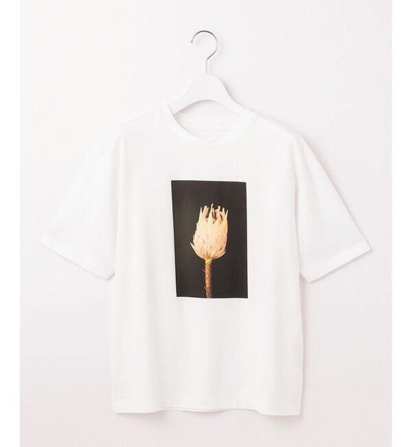 自由区「【カタログ掲載・洗える】PHOTO Tシャツ」|Tシャツ・カットソー|