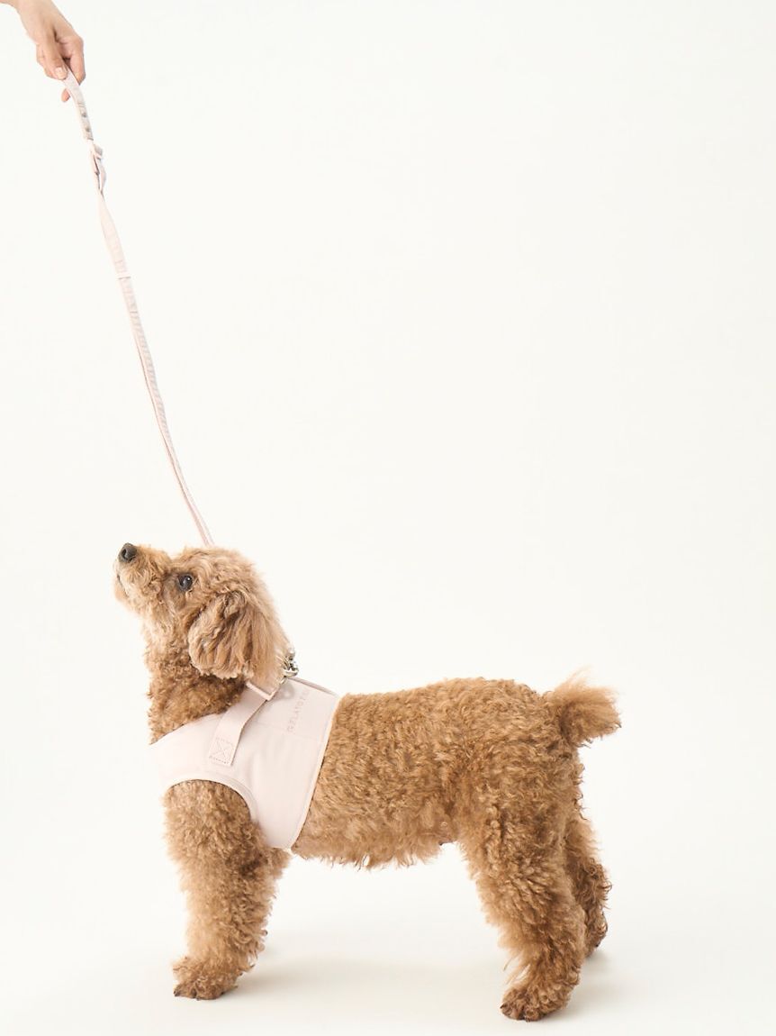  GELATO PIQUE CAT&DOG「【CAT&DOG】【販路限定商品】リード」|その他|