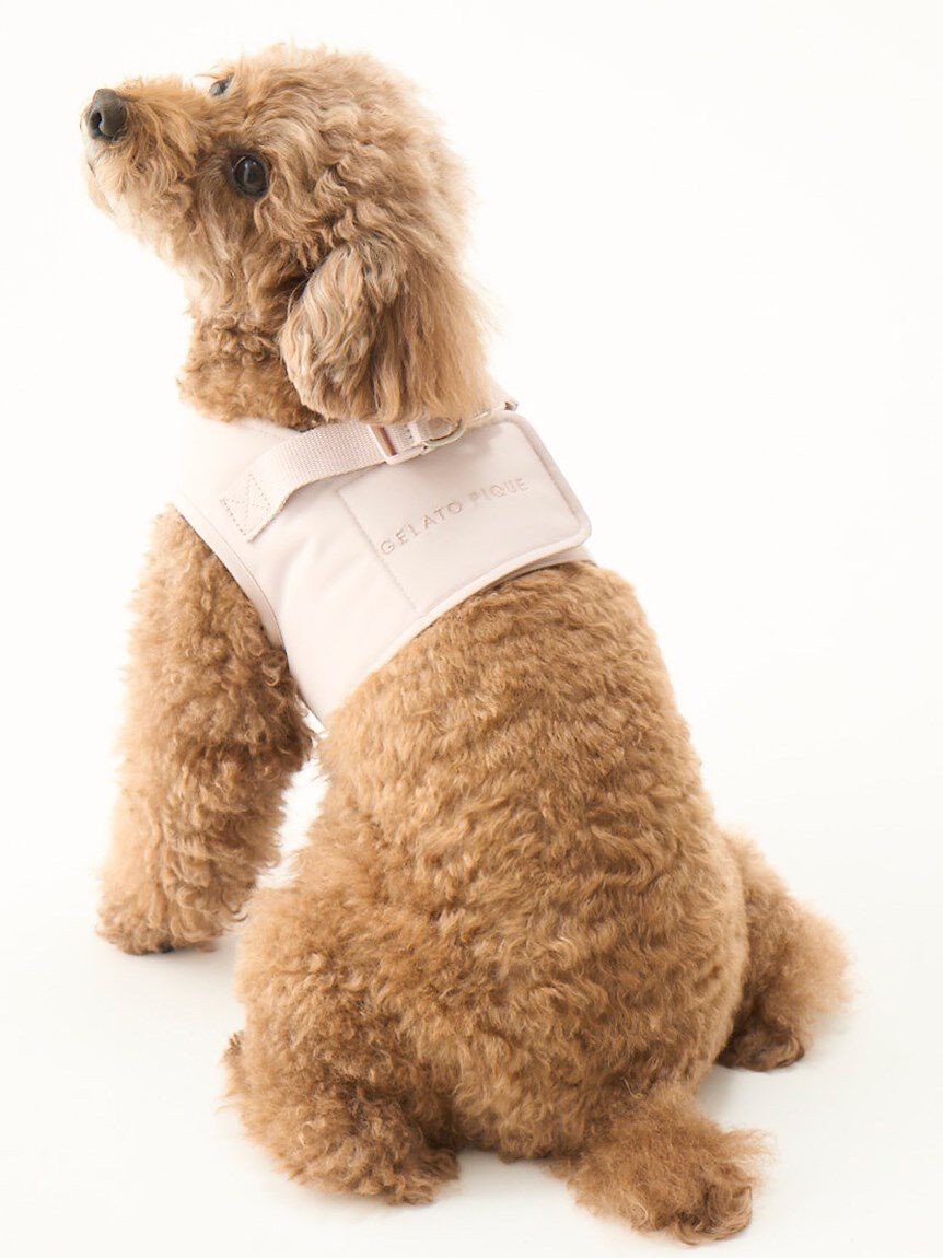  GELATO PIQUE CAT&DOG「【CAT&DOG】【販路限定商品】ハーネス」|その他|