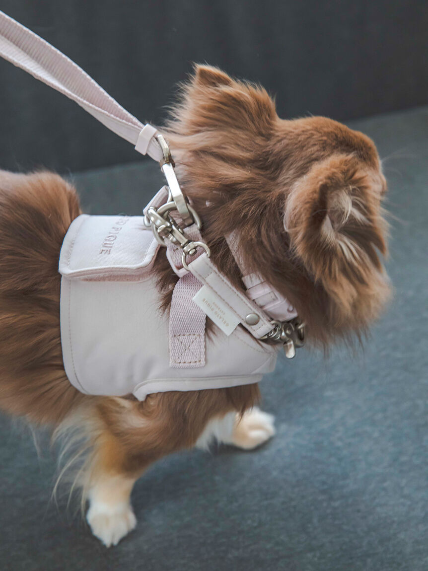  GELATO PIQUE CAT&DOG「【CAT&DOG】【販路限定商品】ハーネス」|その他|