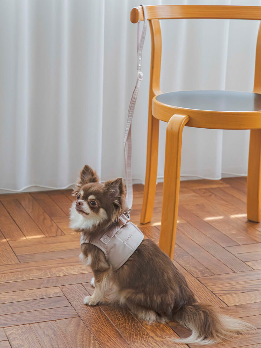  GELATO PIQUE CAT&DOG「【CAT&DOG】【販路限定商品】ハーネス」|その他|