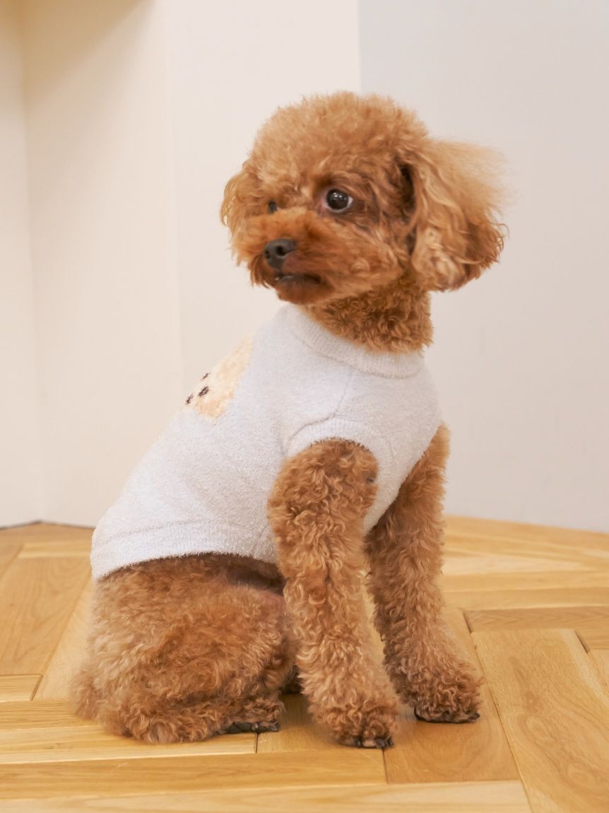  GELATO PIQUE CAT&DOG「【CAT&DOG】スムーズィートイプードル柄ジャガードプルオーバー」|その他|