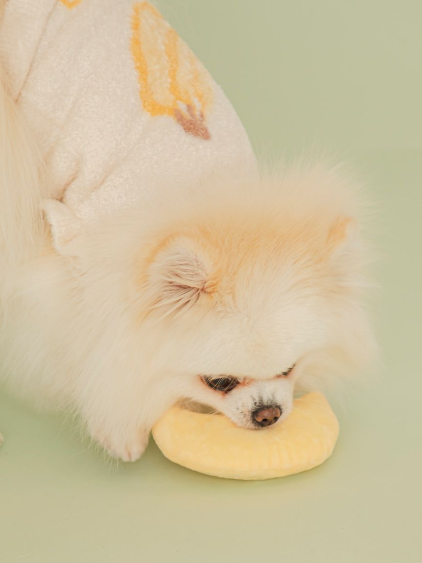  GELATO PIQUE CAT&DOG「【CAT&DOG】フルーツジャガードプルオーバー」|その他|