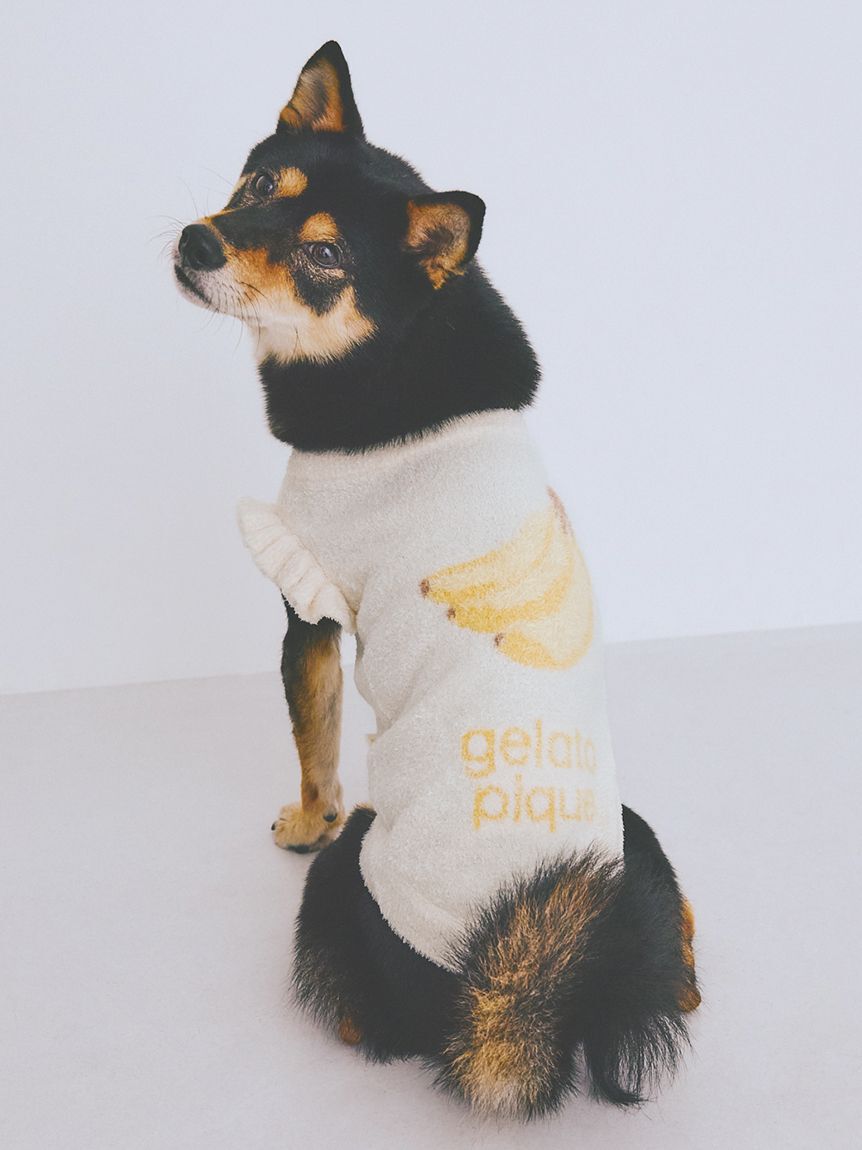  GELATO PIQUE CAT&DOG「【CAT&DOG】フルーツジャガードプルオーバー」|その他|