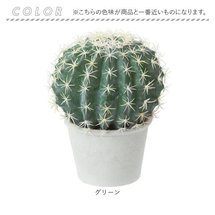 BACKYARD FAMILY「観葉植物 フェイク 大型 通販 フェイクグリーン サボテン アーティフィシャルグリーン」|その他|