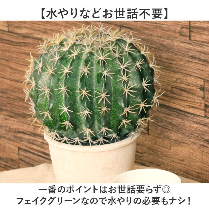 BACKYARD FAMILY「観葉植物 フェイク 大型 通販 フェイクグリーン サボテン アーティフィシャルグリーン」|その他|