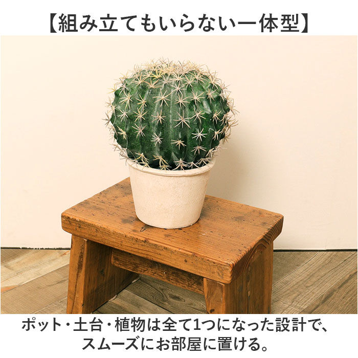 BACKYARD FAMILY「観葉植物 フェイク 大型 通販 フェイクグリーン サボテン アーティフィシャルグリーン」|その他|