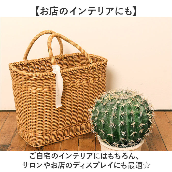 BACKYARD FAMILY「観葉植物 フェイク 大型 通販 フェイクグリーン サボテン アーティフィシャルグリーン」|その他|