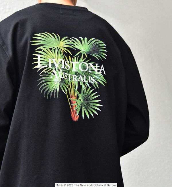 SHIPS any「【SHIPS any別注】NYBG: ボタニカル プリント リラックス Tシャツ (ロンT)◆」|Tシャツ・カットソー|ブラック