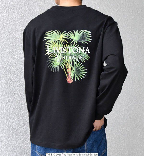 SHIPS any「【SHIPS any別注】NYBG: ボタニカル プリント リラックス Tシャツ (ロンT)◆」|Tシャツ・カットソー|
