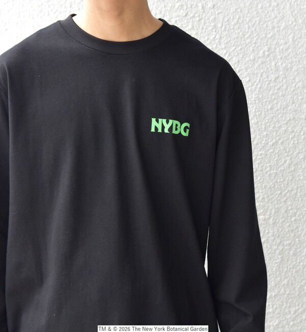SHIPS any「【SHIPS any別注】NYBG: ボタニカル プリント リラックス Tシャツ (ロンT)◆」|Tシャツ・カットソー|