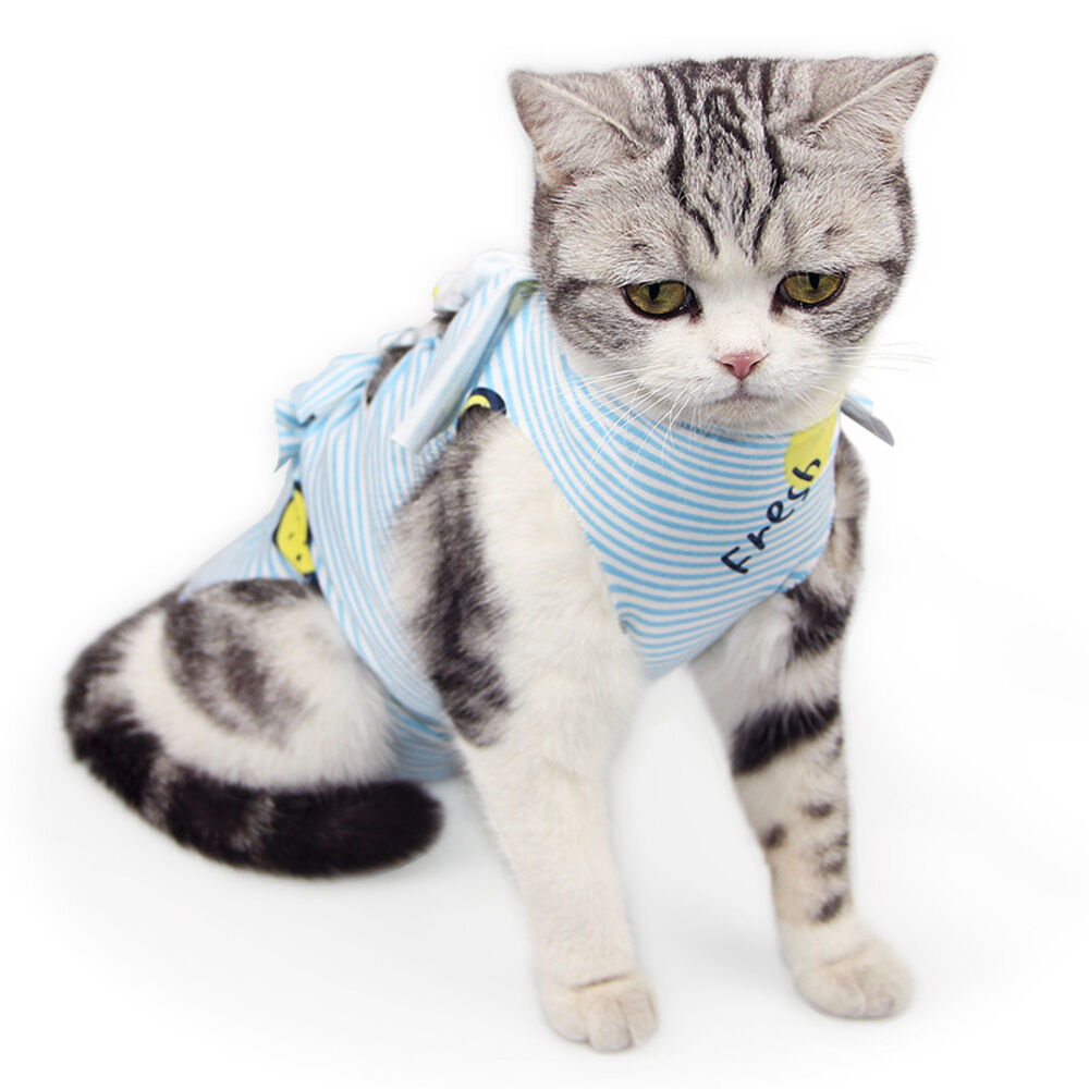 BACKYARD FAMILY「猫 術後服 通販 服 ねこ 傷舐め防止 手術後 エリザベスカラー の代用 洋服 ウェア 術後ウェア」|その他|ブルー2