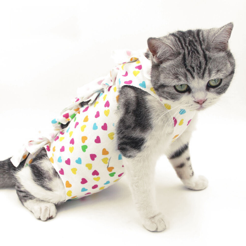 BACKYARD FAMILY「猫 術後服 通販 服 ねこ 傷舐め防止 手術後 エリザベスカラー の代用 洋服 ウェア 術後ウェア」|その他|その他1
