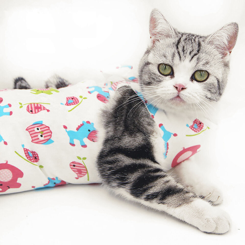 BACKYARD FAMILY「猫 術後服 通販 服 ねこ 傷舐め防止 手術後 エリザベスカラー の代用 洋服 ウェア 術後ウェア」|その他|その他2