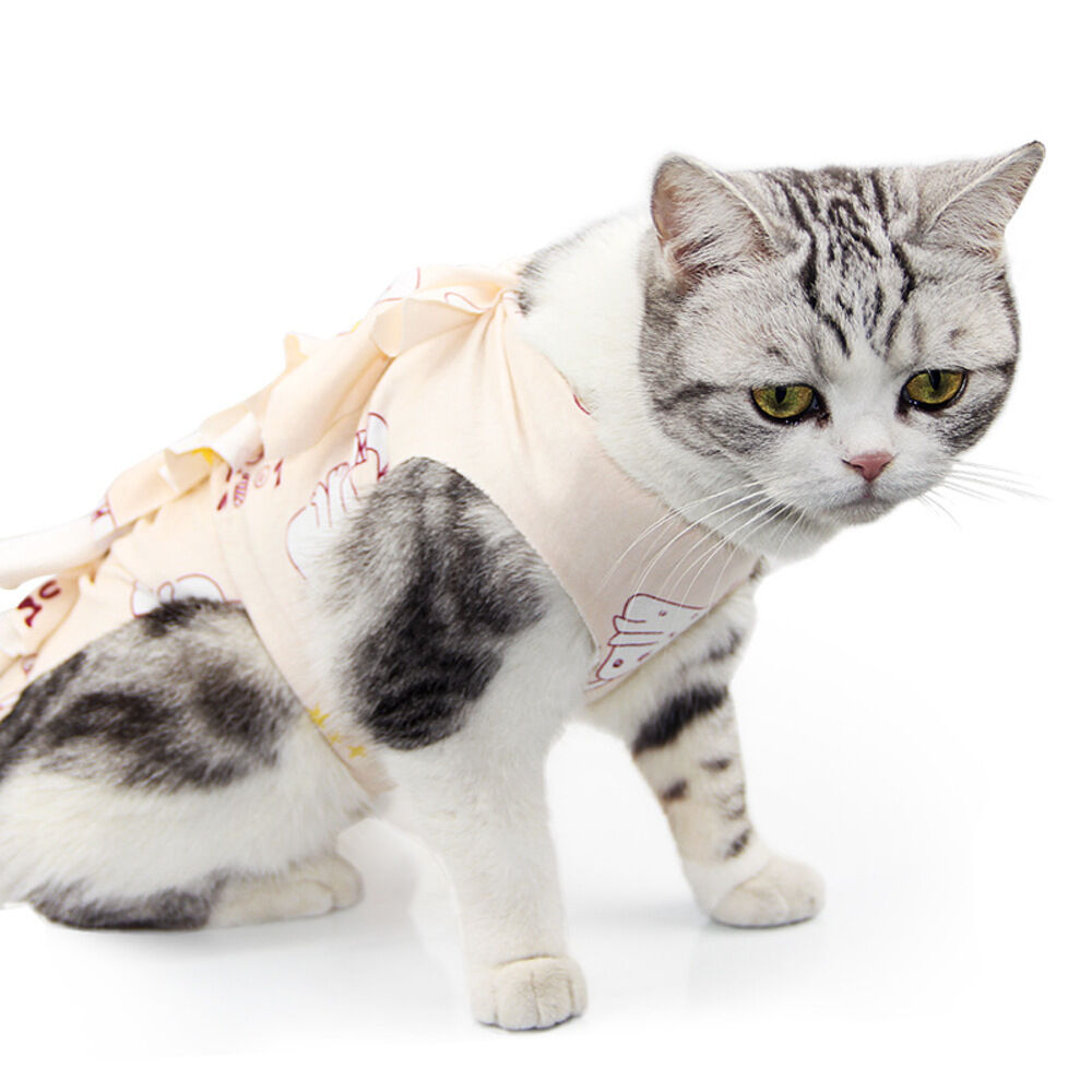 BACKYARD FAMILY「猫 術後服 通販 服 ねこ 傷舐め防止 手術後 エリザベスカラー の代用 洋服 ウェア 術後ウェア」|その他|その他3