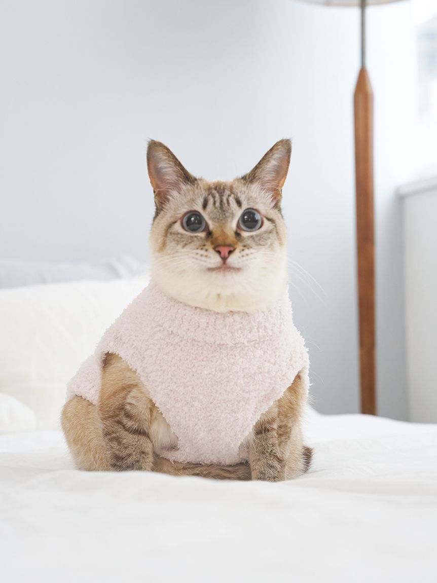  GELATO PIQUE CAT&DOG「【CAT&DOG】【販路限定商品】ベビモコネップdogプルオーバー」|その他|