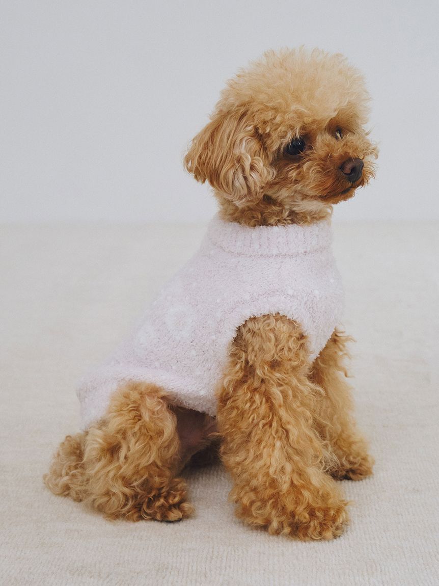 GELATO PIQUE CAT&DOG「【CAT&DOG】【販路限定商品】ベビモコネップdogプルオーバー」|その他|