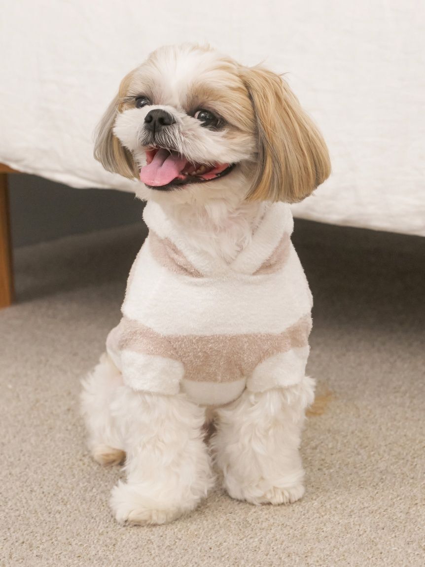  GELATO PIQUE CAT&DOG「【CAT&DOG】スムーズィー２ボーダーフーディー」|その他|BEG