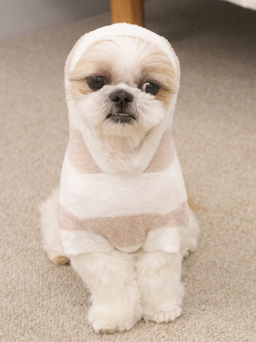  GELATO PIQUE CAT&DOG「【CAT&DOG】スムーズィー２ボーダーフーディー」|その他|