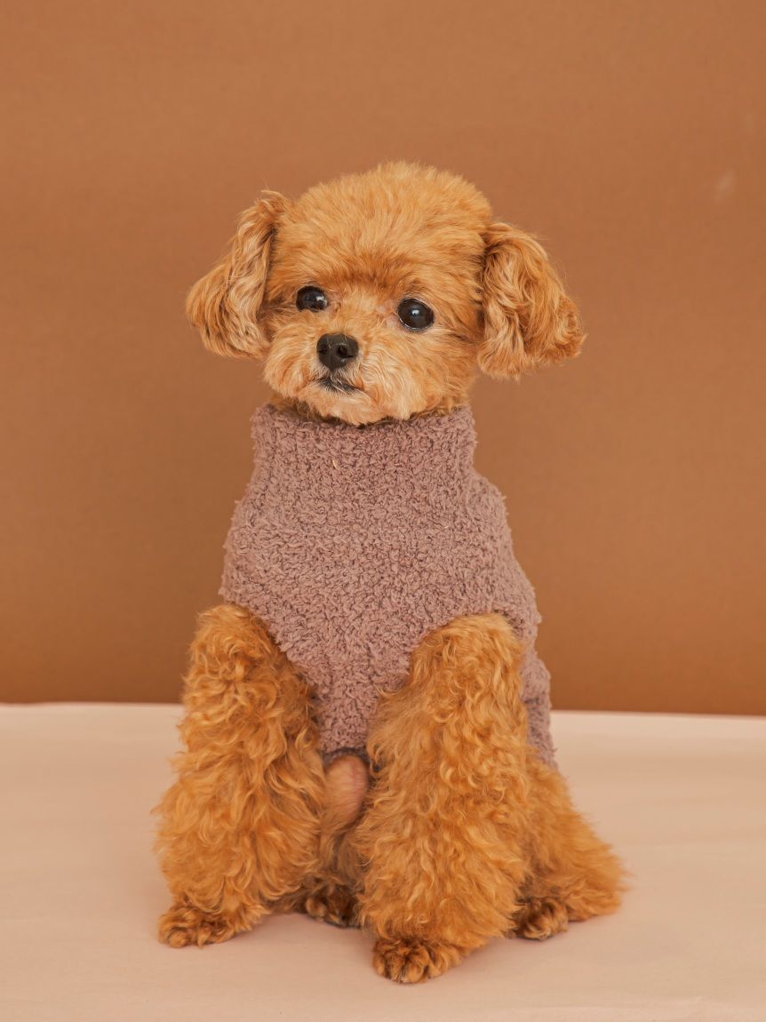  GELATO PIQUE CAT&DOG「【CAT&DOG】ハイネックロゴプルオーバー」|その他|