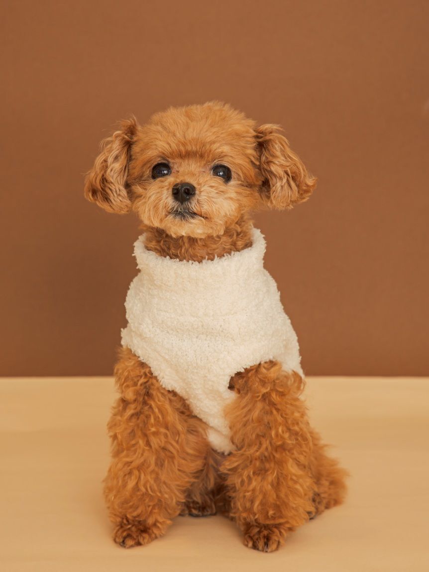  GELATO PIQUE CAT&DOG「【CAT&DOG】ハイネックロゴプルオーバー」|その他|