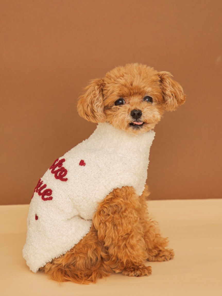  GELATO PIQUE CAT&DOG「【CAT&DOG】ハイネックロゴプルオーバー」|その他|
