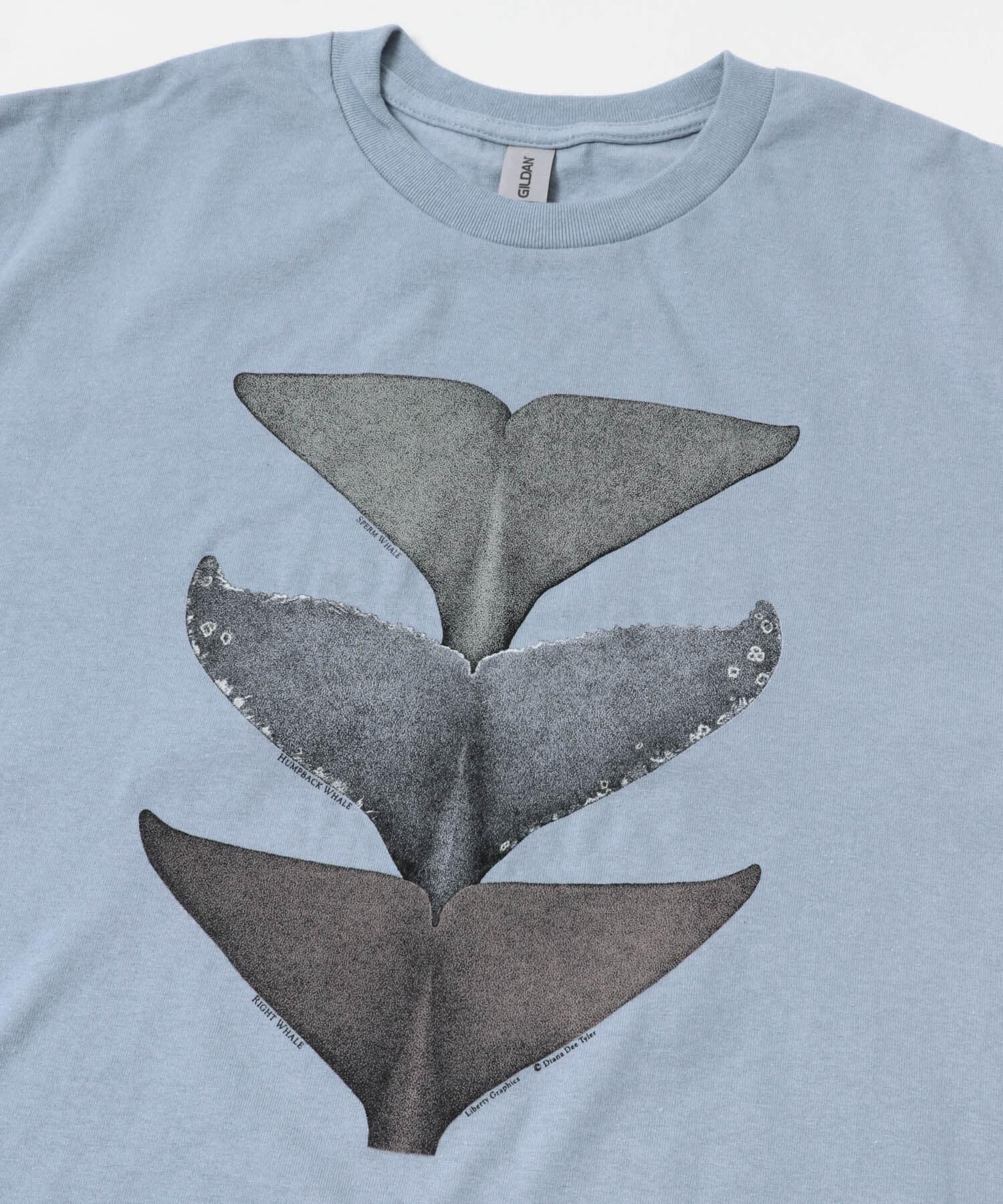 URBAN RESEARCH DOORS「LIBERTY GRAPHICS　Whale Tails」|Tシャツ・カットソー|