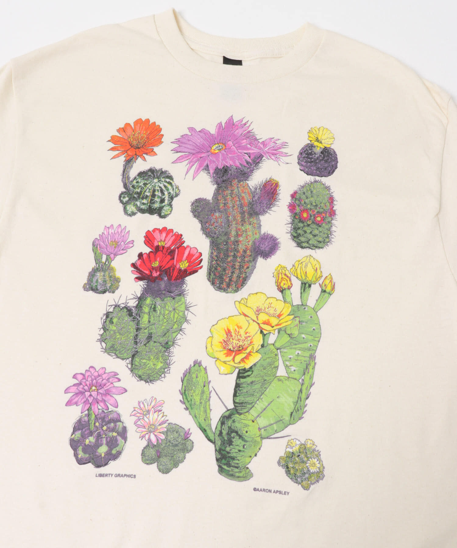URBAN RESEARCH DOORS「LIBERTY GRAPHICS　DESERTFLOWERST-SHIRTS」|Tシャツ・カットソー|