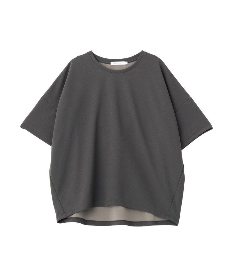 AMERICAN HOLIC「【WEB限定】バックフリル半袖プルオーバー」|Tシャツ・カットソー|