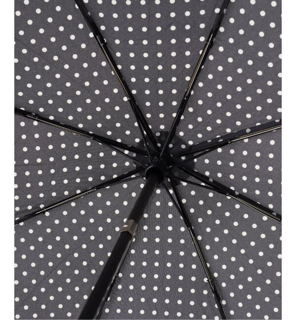 EDIFICE「MACKINTOSH(マッキントッシュ) AYR DOT」|傘|
