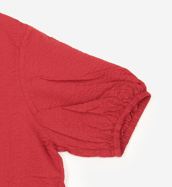DANTON「DANTON | コットンローン 半袖プルオーバーシャツ WOMEN」|シャツ・ブラウス|