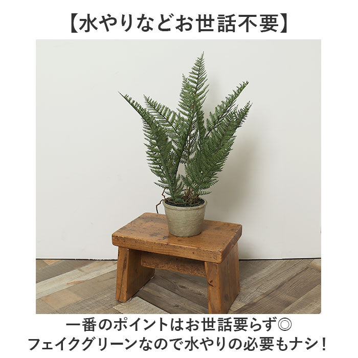 BACKYARD FAMILY「観葉植物 フェイク 大型 通販 フェイクグリーン アーティフィシャルグリーン インテリアグリーン」|その他|