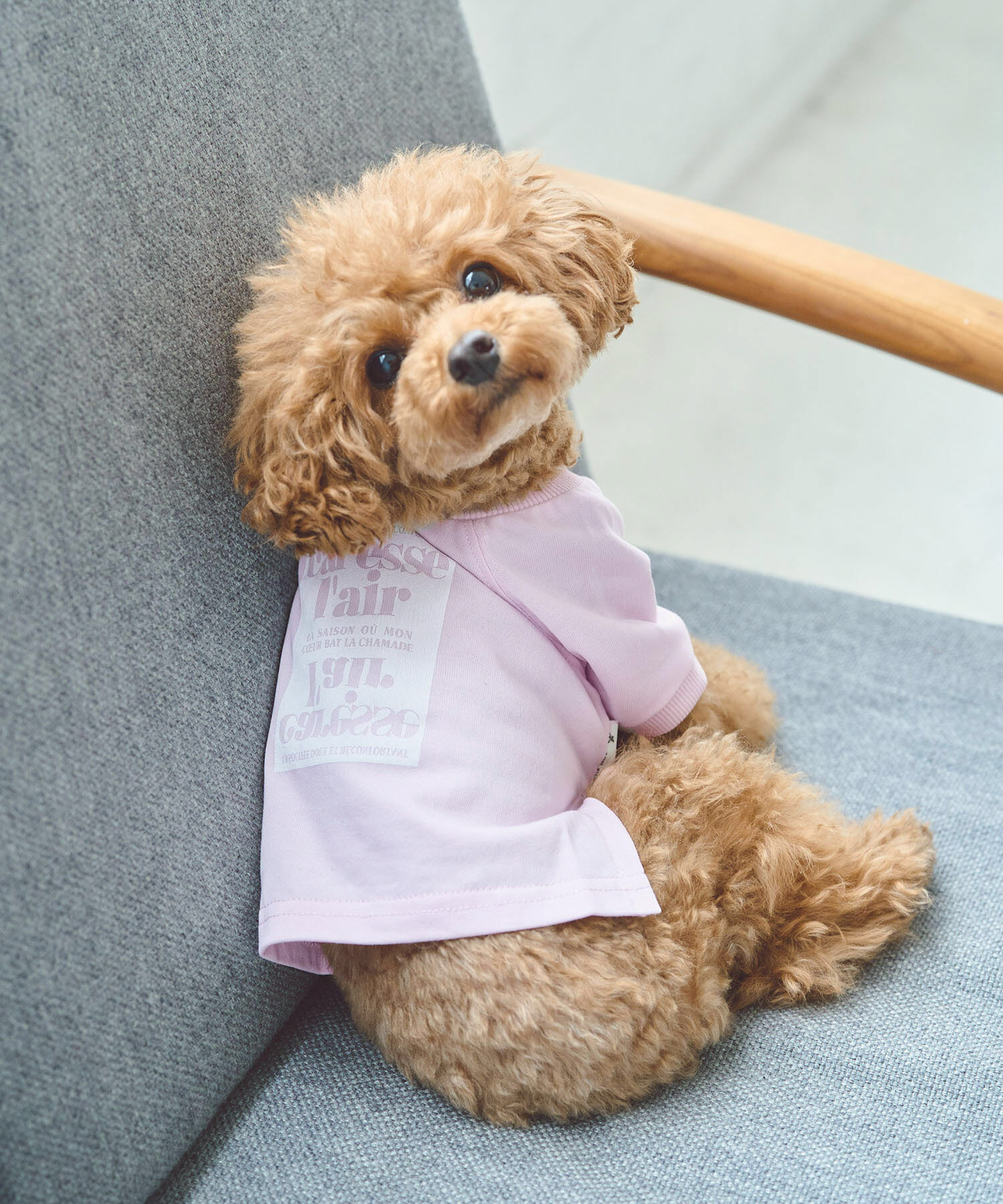 ROPE PICNIC PASSAGE「【DOG】ロゴTシャツ/リンクコーデ」|その他|ピンク(63)