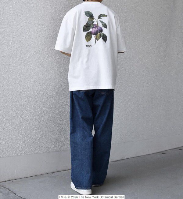 SHIPS any「【SHIPS any別注】NYBG: ボタニカル プリント リラックス Tシャツ◇」|Tシャツ・カットソー|