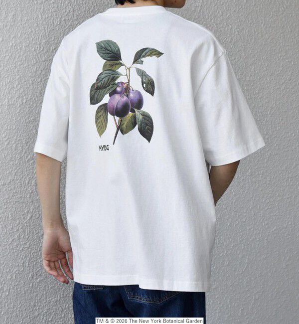 SHIPS any「【SHIPS any別注】NYBG: ボタニカル プリント リラックス Tシャツ◇」|Tシャツ・カットソー|
