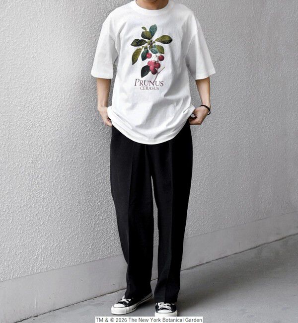 SHIPS any「【SHIPS any別注】NYBG: ボタニカル プリント リラックス Tシャツ◇」|Tシャツ・カットソー|