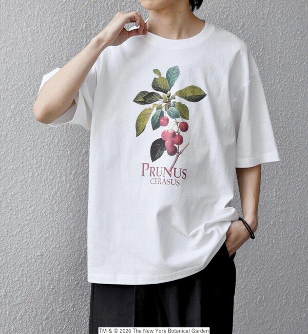 SHIPS any「【SHIPS any別注】NYBG: ボタニカル プリント リラックス Tシャツ◇」|Tシャツ・カットソー|