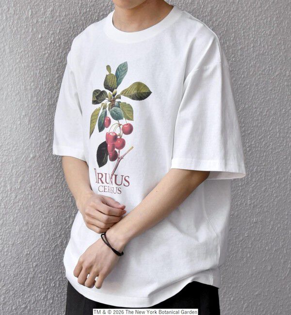 SHIPS any「【SHIPS any別注】NYBG: ボタニカル プリント リラックス Tシャツ◇」|Tシャツ・カットソー|