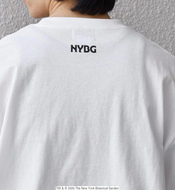 SHIPS any「【SHIPS any別注】NYBG: ボタニカル プリント リラックス Tシャツ◇」|Tシャツ・カットソー|