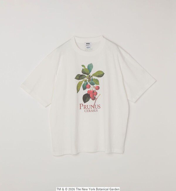 SHIPS any「【SHIPS any別注】NYBG: ボタニカル プリント リラックス Tシャツ◇」|Tシャツ・カットソー|